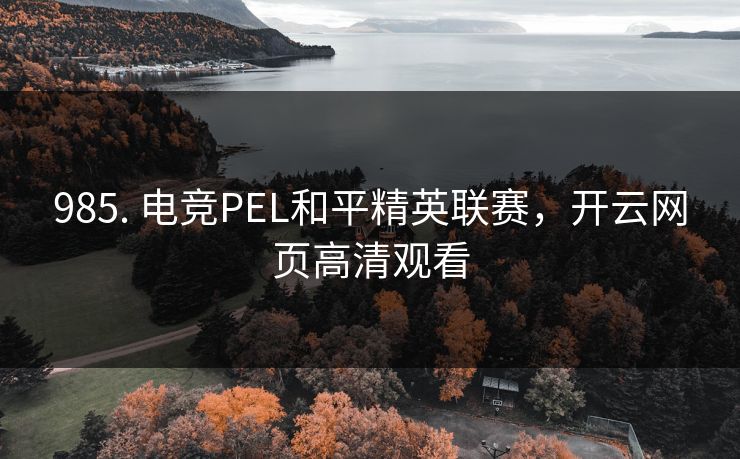 985. 电竞PEL和平精英联赛，开云网页高清观看